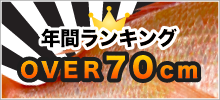 タイラバ年間ランキング