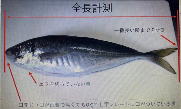 トロフィー